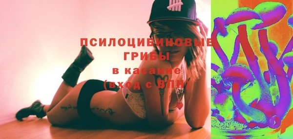 шишки Нягань