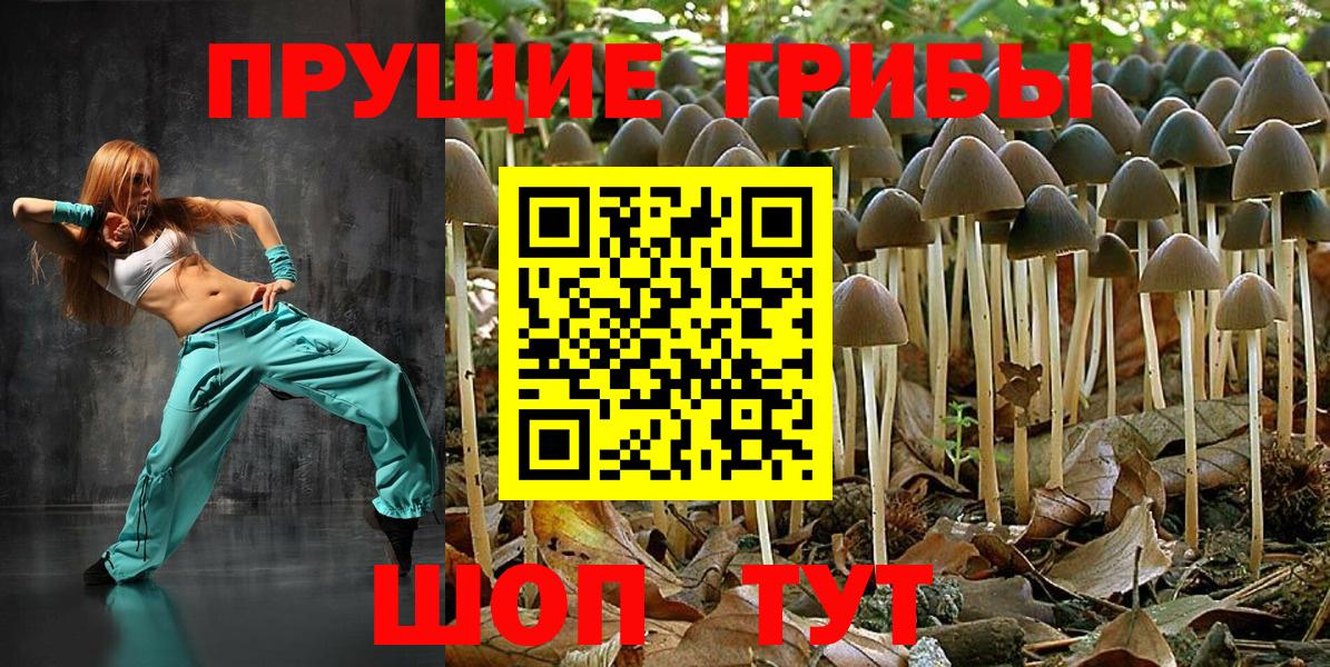 Псилоцибиновые грибы GOLDEN TEACHER  Псилоцибиновые грибы мухоморы  Апрелевка 